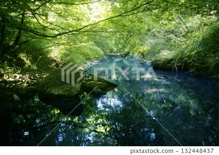 Beech forest trees with river flow under 132448437