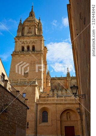 Salamanca Cathedral facade in Spain Salamanca Cathedral facade in Spain 132448442