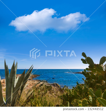 Majorca Cala Bona beach Son Servera Mallorca 132448512