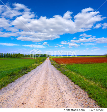 The way of saint James neverending at Palencia 132448588