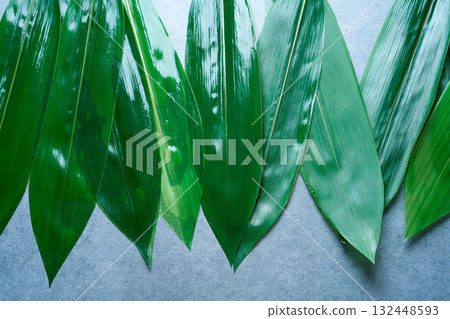 Bamboo leaves in a row on gray 132448593