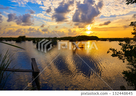 Mangroove sunset in Riviera Maya Mangroove sunset in Riviera Maya 132448645
