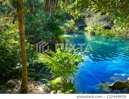 Cenote in Riviera Maya of Mayan Mexico Cenote in Riviera Maya of Mayan Mexico 132448659