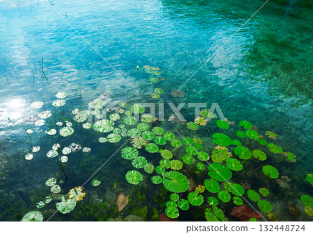 Laguna de Bacalar Lagoon in Mayan Mexico 132448724