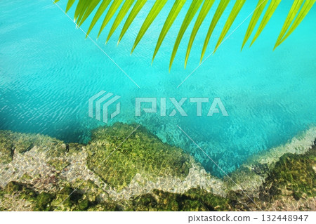 cenote mangrove turquoise water Mayan Riviera cenote mangrove turquoise water Mayan Riviera 132448947