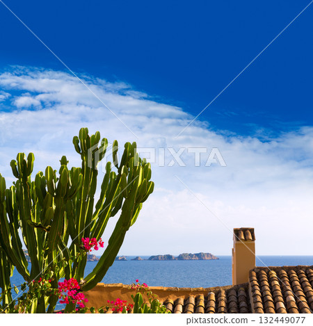 Majorca Cala Fornells beach Paguera Peguera 132449077