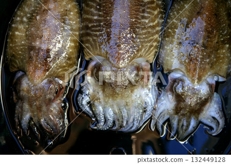 Cuttlefish squid over black background Cuttlefish squid over black background 132449128
