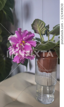 Decorative violets for home decor, indoor plants Drip irrigation Room decoration Decorative violets for home decor, indoor plants Drip irrigation Room decoration 132449630