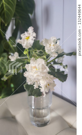 Decorative violets for home decor, indoor plants Drip irrigation Room decoration Decorative violets for home decor, indoor plants Drip irrigation Room decoration 132449644