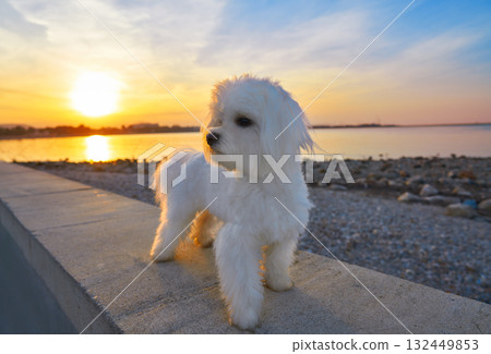 Denia sunset from Las Rotas beach in alicante 132449853