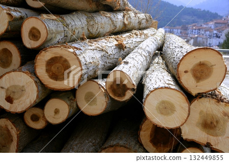 Stacked wooden logs, tree trunks Stacked wooden logs, tree trunks 132449855