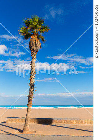 Valencia Malvarrosa Las Arenas beach palm trees in Patacona Valencia Malvarrosa Las Arenas beach palm trees in Patacona 132450055