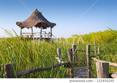 hut palapa in mangrove reed wetlands 132450295
