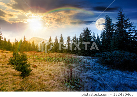 fir trees on a meadow. day and night time change concept. scenic landscape with coniferous forest in mountains under sky with sun and moon at twilight. beautiful alpine scenery 132450463