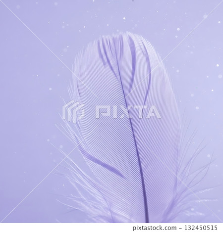Delicate lavender feather floats gracefully against a soft, ethereal background with shimmering bokeh lights, evoking feelings of lightness and peace. Delicate lavender feather floats gracefully against a soft, ethereal background with shimmering bokeh lights, evoking feelings of lightness and peace. 132450515