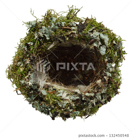 Green, authentic bird nest made of moss, feathers and grass, isolated on white background 132450548