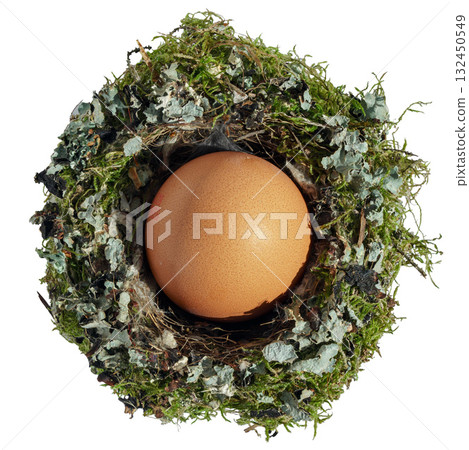 A chicken egg nestled in a bird's nest, isolated on white background 132450549
