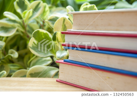 Pile of colorful books on wooden table with leafy background with customizable space for text or ideas. 132450563