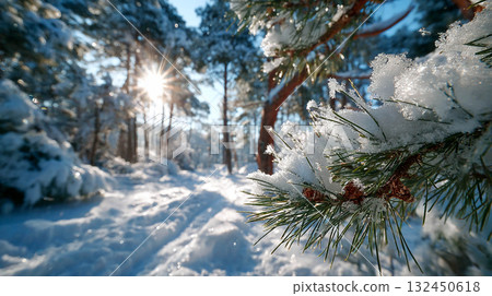 A winter landscape with a snow-covered forest, brightly illuminated by the sun shining through the trees.	 132450618