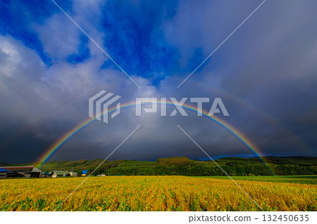 雨後的恩賜：北海道天空出現彩虹 132450635
