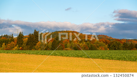 Autumn landscape with colorful trees and forests in shades of orange, red, and yellow near fields and wildlife observation towers, creating a peaceful seasonal scene. 132450874