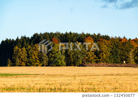 Autumn landscape with colorful trees and forests in shades of orange, red, and yellow near fields and wildlife observation towers, creating a peaceful seasonal scene. 132450877