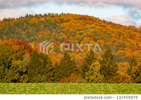 Autumn landscape with colorful trees and forests in shades of orange, red, and yellow near fields and wildlife observation towers, creating a peaceful seasonal scene. 132450878
