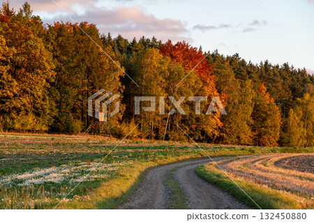 Autumn landscape with colorful trees and forests in shades of orange, red, and yellow near fields and wildlife observation towers, creating a peaceful seasonal scene. 132450880