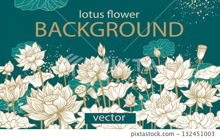 Lotus Flower Template, Botanical Vector Background Lotus Flower Template, Botanical Vector Background 132451003
