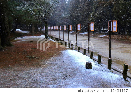 Nara Park in winter 132451167