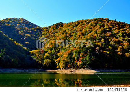 奧日光初秋 西之湖紅葉 132451558