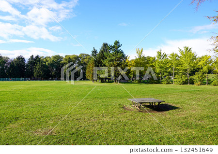 手稻稻泉公園的多功能廣場 手稻稻泉公園的多功能廣場 132451649