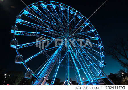 Ferris wheel at night Ferris wheel at night 132451795