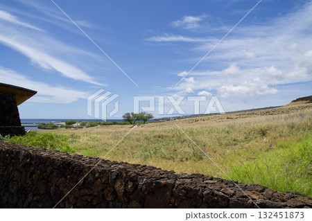 夏威夷島上的草原與藍天景觀 夏威夷島上的草原與藍天景觀 132451873