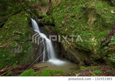 Fujin Falls (Wakasa Town, Mikata-Kaminaka District, Fukui Prefecture) 132451965