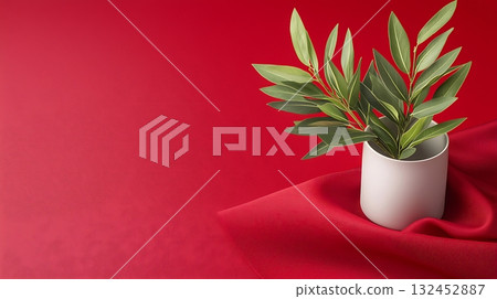 Fresh Green Leaves in White Pot on Soft Red Background with Elegant Fabric Draping Fresh Green Leaves in White Pot on Soft Red Background with Elegant Fabric Draping 132452887
