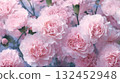 淡粉紅色康乃馨背景 132452948