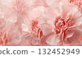 淡粉紅色康乃馨背景 132452949