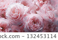 淡粉色玫瑰背景 132453114