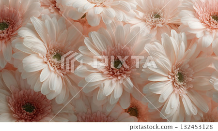 桃非洲菊背景 132453128