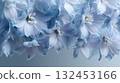 淡藍色的飛燕草背景 132453166