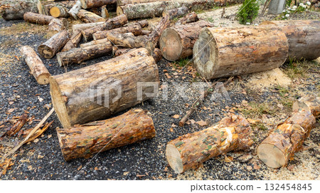 Sawn logs scattered on the ground. Logs of sawn pine closeup. Deforestation and felled forests. Tree trunks Sawn logs scattered on the ground. Logs of sawn pine closeup. Deforestation and felled forests. Tree trunks 132454845