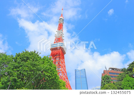 東京鐵塔和東京港區的新鮮綠地 132455075