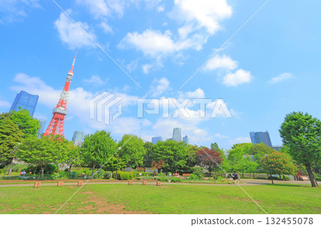 Tokyo Tower and fresh greenery in Minato-ku, Tokyo 132455078