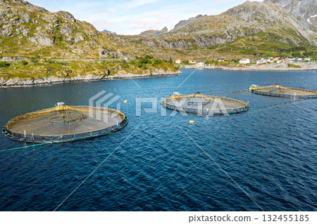 Farm salmon fishing in Norway. Norway is the biggest producer of farmed salmon in the world. Farm salmon fishing in Norway. Norway is the biggest producer of farmed salmon in the world. 132455185
