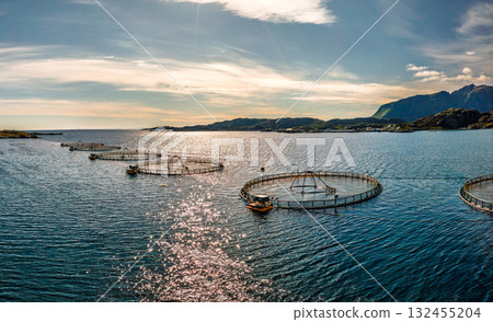 Farm salmon fishing in Norway. Norway is the biggest producer of farmed salmon in the world. Farm salmon fishing in Norway. Norway is the biggest producer of farmed salmon in the world. 132455204