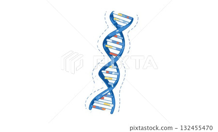 DNA Double Helix Molecular Structure 132455470
