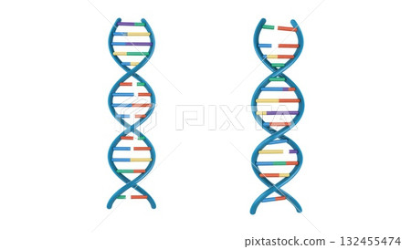 Normal DNA vs Point Mutation Comparison 132455474