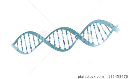 DNA Double Helix Molecular Structure 132455476
