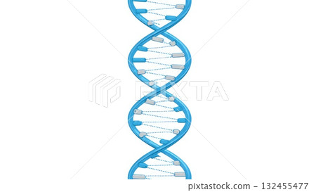 DNA Double Helix Molecular Structure 132455477